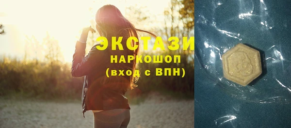 молекула духа Богородицк