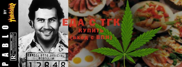 дживик Бородино
