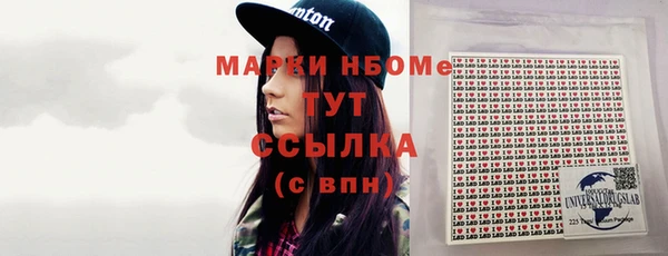 молекула духа Богородицк