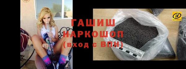 дживик Бородино