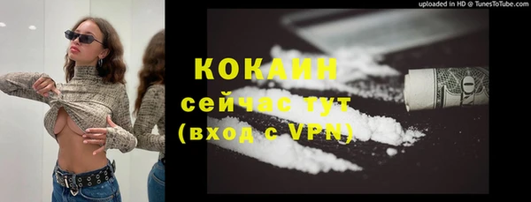 молекула духа Богородицк