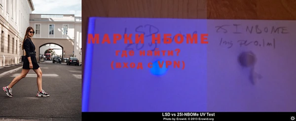 дживик Бородино