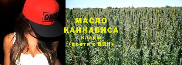 дживик Бородино