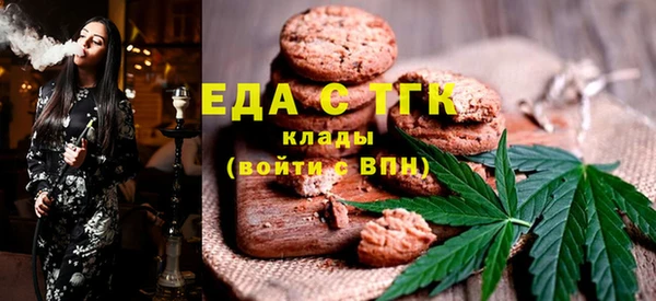 дживик Бородино
