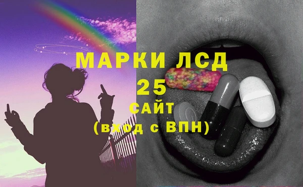 дживик Бородино